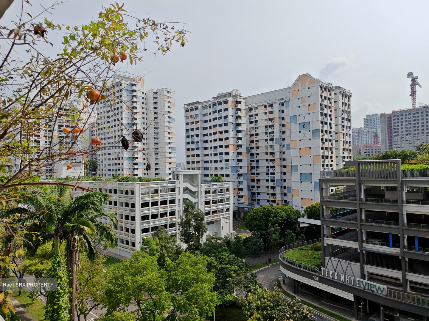 Blk 154 Jalan Teck Whye (Choa Chu Kang), HDB 4 Rooms #594685531